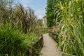 Fenced wooden footbridge in grass and weeds on sunny summer day