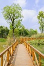 Fenced wooden footbridge over water in sunny spring