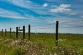 Fenceline along a hay field as an agricultural background Royalty Free Stock Photo