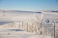 Fenceline In Frost and Snow Royalty Free Stock Photo