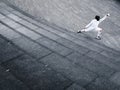 Fencer practising in the Scoop amphitheatre London England elevated view