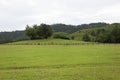 Fences of cattle in field of grass in mountain Royalty Free Stock Photo