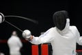 Fencing Royalty Free Stock Photo