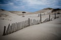 Fencing along the sand dunes at Cape Cod National Seashore on an overcast day