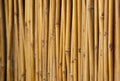 Fencing bamboo panel