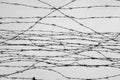 Fencing. Fence with barbed wire. Let. Jail. Thorns. Block. A prisoner. Holocaust. Concentration camp. Prisoners. Depressive Royalty Free Stock Photo