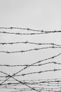 Fencing. Fence with barbed wire. Let. Jail. Thorns. Block. A prisoner. Holocaust. Concentration camp. Prisoners. Depressive Royalty Free Stock Photo