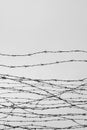 Fencing. Fence with barbed wire. Let. Jail. Thorns. Block. A prisoner. Holocaust. Concentration camp. Prisoners. Depressive