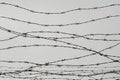 Fencing. Fence with barbed wire. Let. Jail. Thorns. Block. A prisoner. Holocaust. Concentration camp. Prisoners. Depressive Royalty Free Stock Photo