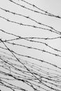 Fencing. Fence with barbed wire. Let. Jail. Thorns. Block. A prisoner. Holocaust. Concentration camp. Prisoners. Depressive