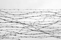 Fencing. Fence with barbed wire. Let. Jail. Thorns. Block. A prisoner. Holocaust. Concentration camp. Prisoners. Depressive