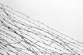 Fencing. Fence with barbed wire. Let. Jail. Thorns. Block. A prisoner. Holocaust. Concentration camp. Prisoners. Depressive Royalty Free Stock Photo