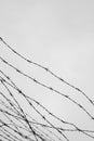 Fencing. Fence with barbed wire. Let. Jail. Thorns. Block. A prisoner. Holocaust. Concentration camp. Prisoners Royalty Free Stock Photo