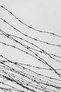 Fencing. Fence with barbed wire. Let. Jail. Thorns. Block. A prisoner. Holocaust. Concentration camp. Prisoners Royalty Free Stock Photo