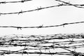 Fencing. Fence with barbed wire. Let. Jail. Thorns. Block. A prisoner. Holocaust. Concentration camp. Prisoners Royalty Free Stock Photo