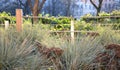 fencing the flowerbed with wooden square posts with ropes separates the pavement from the flower bed