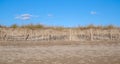 Fencing between a beach and sand dunes