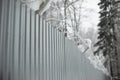 Fencing of territory. Stainless steel fence