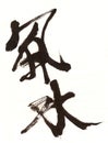 Feng Shui Chinese stylish calligraphy