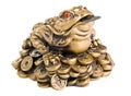 Feng Shui Frog Royalty Free Stock Photo