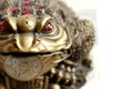 Feng Shui - Frog with coin Royalty Free Stock Photo