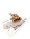 Feng Shui Frog. A symbol of luck in financial well-being. A frog holds a coin. Royalty Free Stock Photo