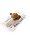 Feng Shui Frog. A symbol of luck in financial well-being. A frog holds a coin. Royalty Free Stock Photo