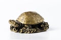 Feng shui golden metal turtle on white