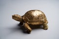 Feng Shui, metal turtle. Golden turtle statuette Royalty Free Stock Photo