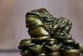 Feng Shui Money Frog Royalty Free Stock Photo