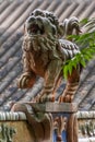 Front of Chinese Mythical lion at religious Ghost City, Fengdu, China