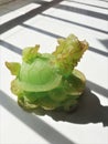 Fengshui Jade Green Dragon head Turtle body sculpture representing longevity wealth