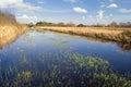 Fenland in Cambridgeshire, England Royalty Free Stock Photo