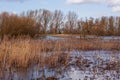 Fenland managed floodland Royalty Free Stock Photo