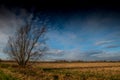 Fenland landscape and dramatic sky Royalty Free Stock Photo