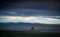 Fenland with mist and clouds Royalty Free Stock Photo