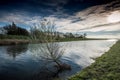 Fenland water channel with tree Royalty Free Stock Photo