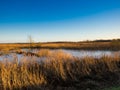 Fenlands of Suffolk uk