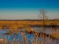 Fenlands of Suffolk uk