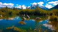 Fenlands wetland banff with mountain