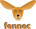 Fennec fow head icon image Royalty Free Stock Photo