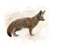 Fennec Fox watercolor