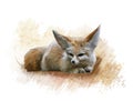 Fennec Fox watercolor