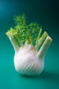 Fennel Royalty Free Stock Photo