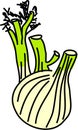 Fennel