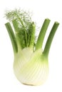 Fennel Royalty Free Stock Photo