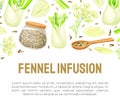 Fennel Banner Design with Edible Condiment Vector Template