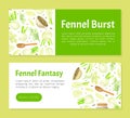 Fennel Banner Design with Edible Condiment Vector Template