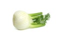 Fennel bulb isolated on white background Royalty Free Stock Photo