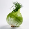 fennel bulb